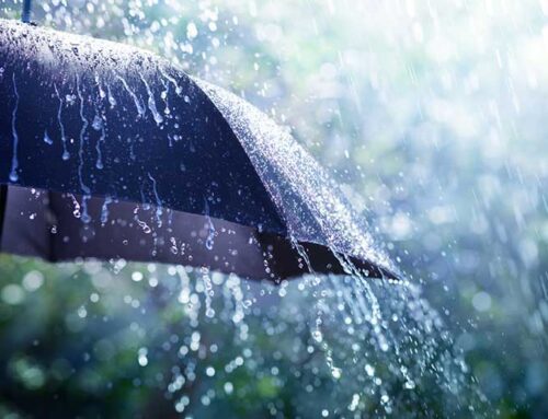 50+ Free & Creative April Marketing Ideas (With Examples!)